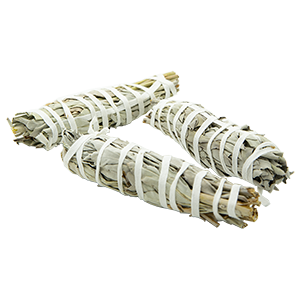 4" Sage Incense Bundle