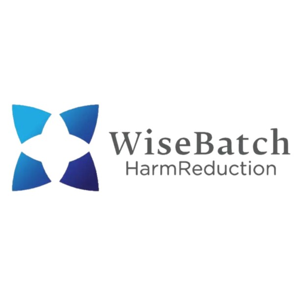 Fentanyl Test Strips by WiseBatch Harm Reduction 24PK - Image 8