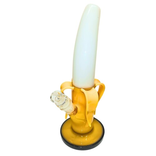 WTP-2424
