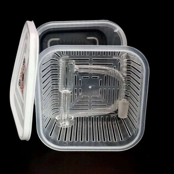 Heady Swabs Banger Bucket Square - Image 4