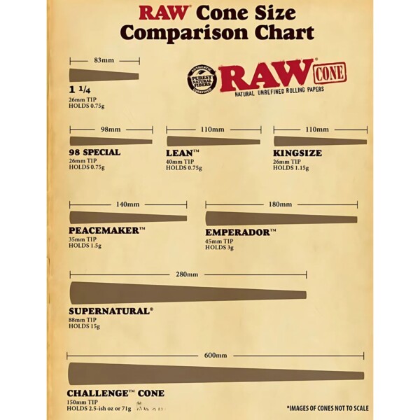 RAW Cones 1 1/4 Size (12 Packs 20 Cones Per Pack) - Image 8